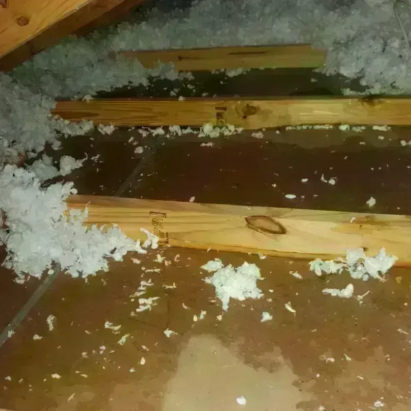 Attic Water Damage in Islandia, NY